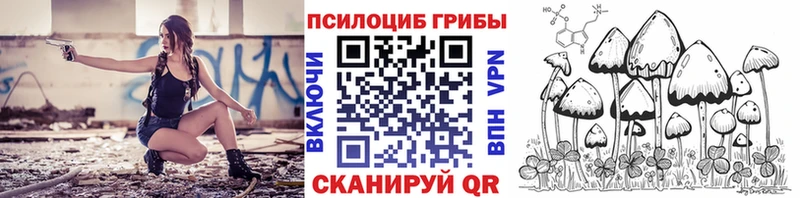 Псилоцибиновые грибы Cubensis  mega сайт  Короча 