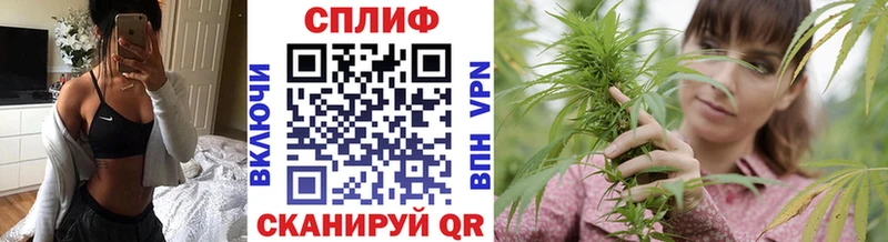 даркнет телеграм  мега как войти  Короча  Конопля White Widow 